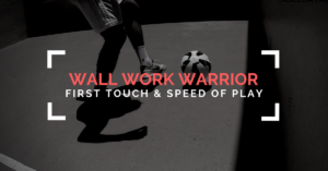Wall Work Warrior Training Program